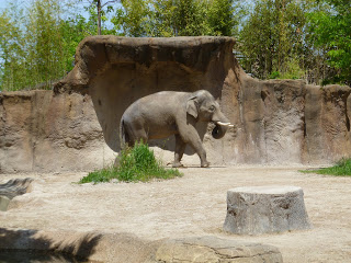 St Louis Zoo