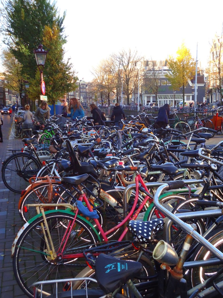 Bicycles in Amsterdam locked up near a canal. 