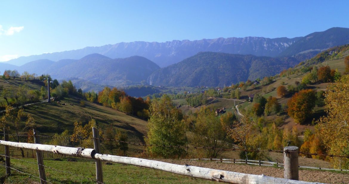 The View From My Window: Romania