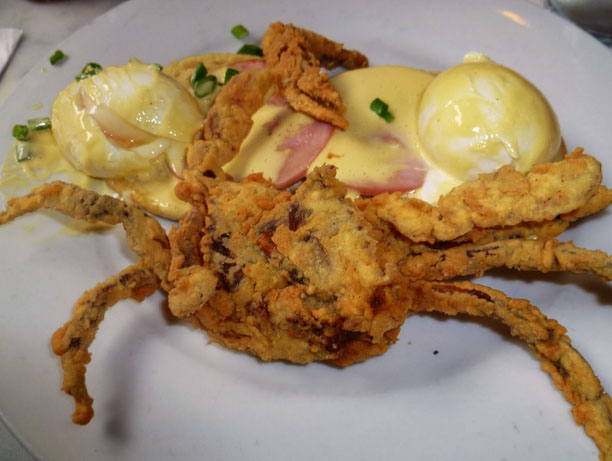 Brunch in New Orleans - Crab Eggs Benedict