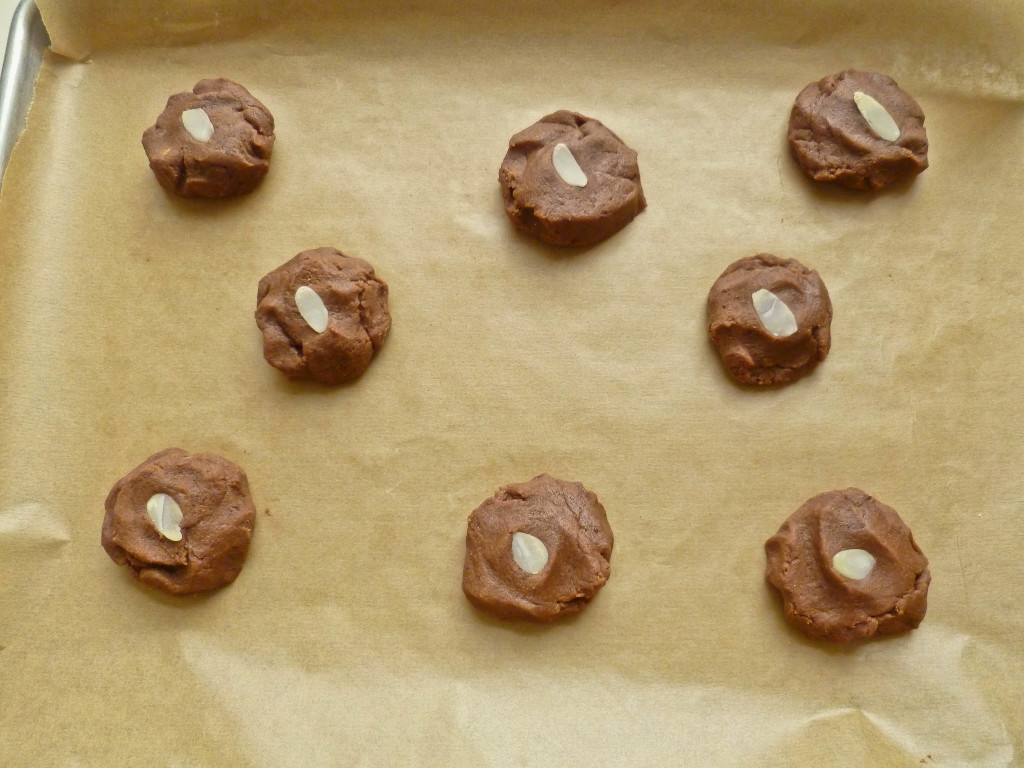 chocolate gingerbread cookies