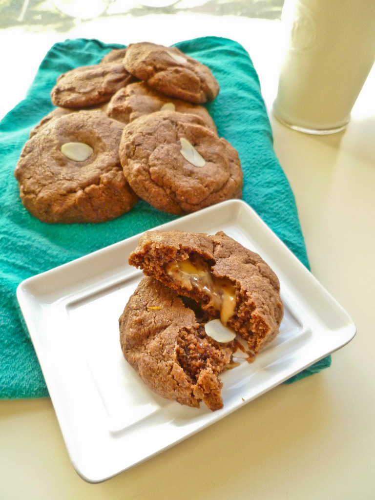 chocolate gingerbread cookies