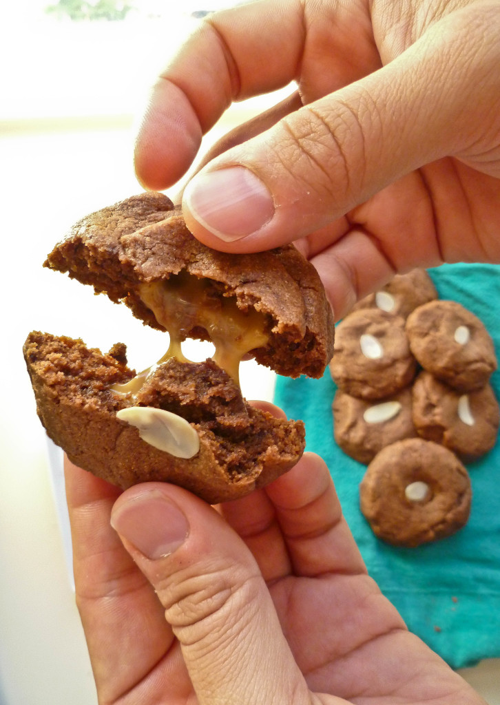 chocolate gingerbread cookies