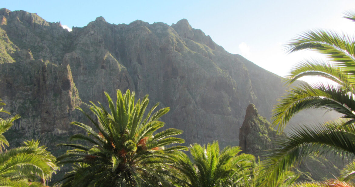 Looking at a rocky mountainside through some palm trees in Tenerife