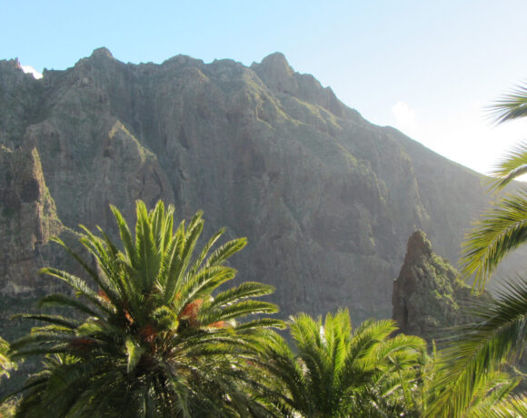 Looking at a rocky mountainside through some palm trees in Tenerife