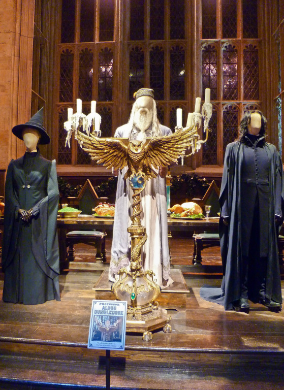 the harry potter experience