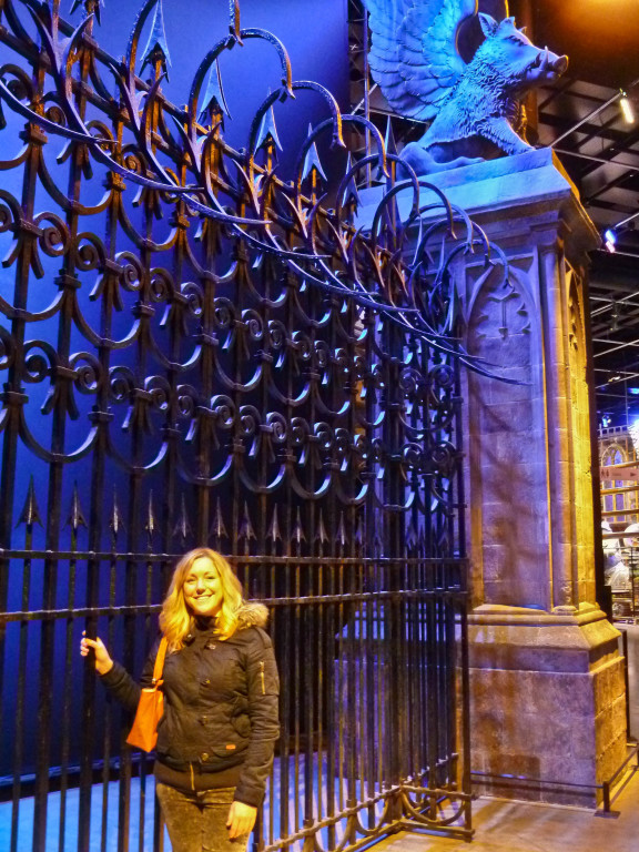 the harry potter experience
