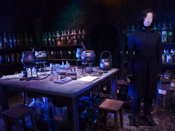 the harry potter experience