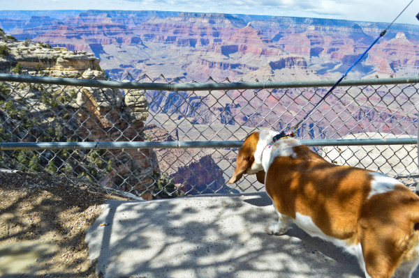 road trip grand canyon