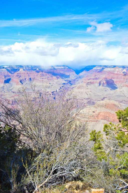 road trip grand canyon