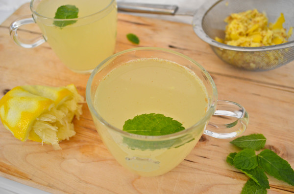 homemade ginger beer