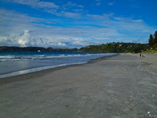 Waiheke Island | Confused Julia