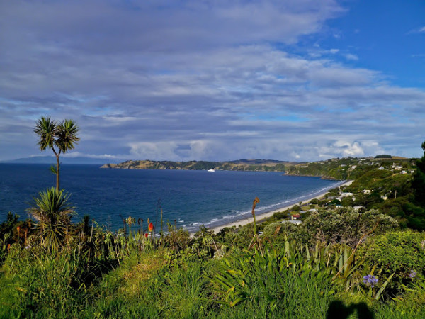 Waiheke Island | Confused Julia