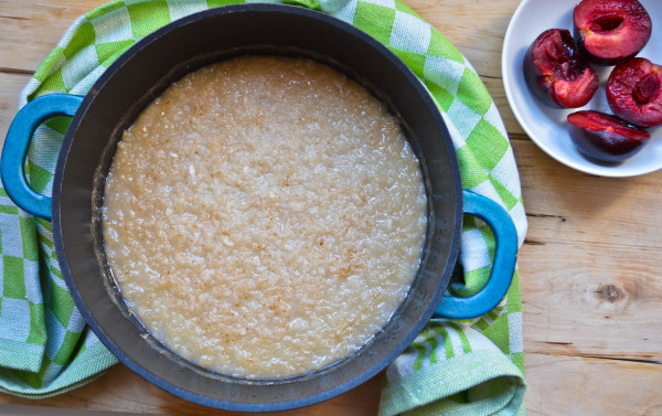 Coconut Rice Pudding with Griddled Plums | Hungry and Confused