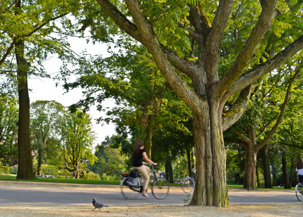 An Afternoon at Amsterdam Vondelpark | Confused Julia