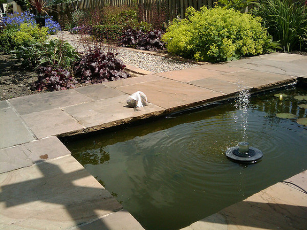 Fountain Backyard