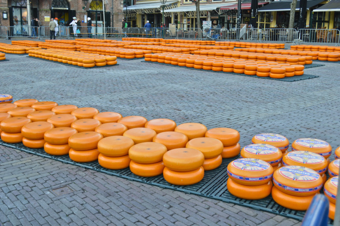 A Wheely Good Time at the Alkmaar Cheese Market