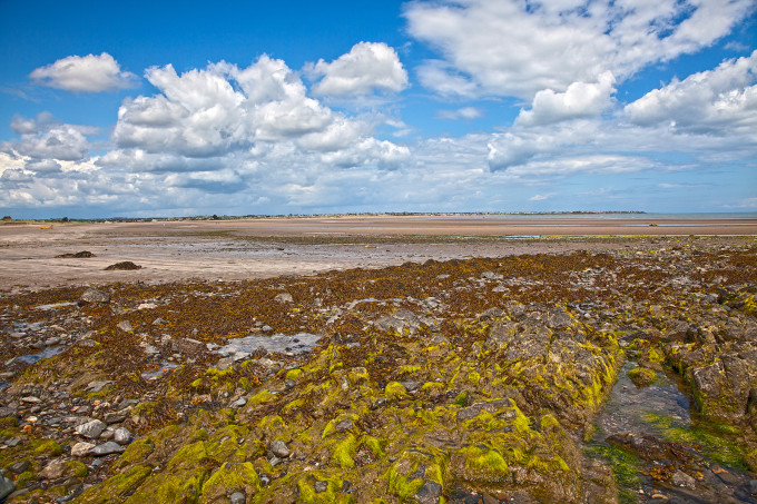 Malahide