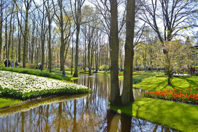 Keukenhof Gardens