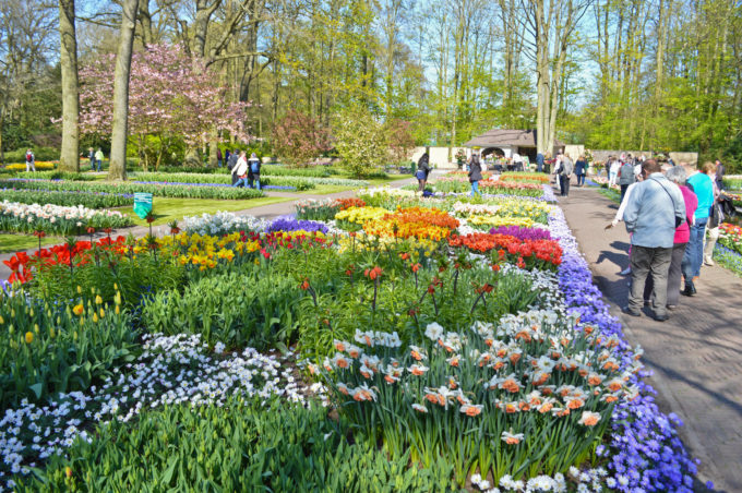 Keukenhof Gardens