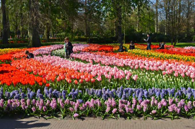 Keukenhof Gardens