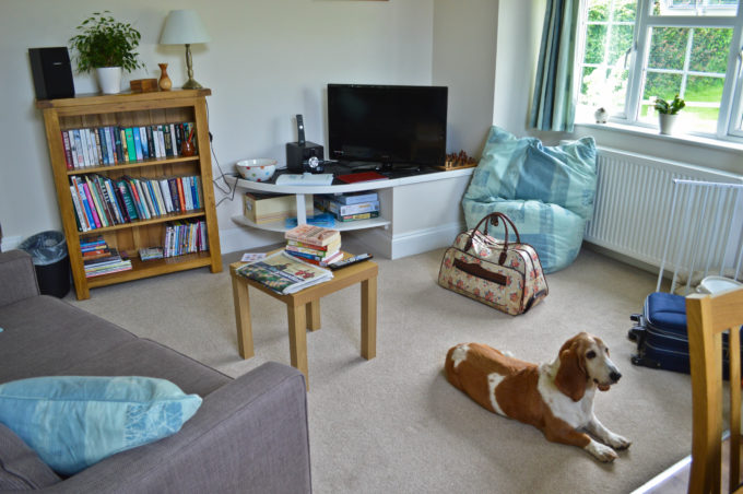 Our Devon cottage for two (plus Basset Hound!)