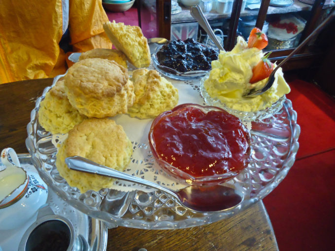 Where to Go for Cream Tea in South Devon: My Top 3