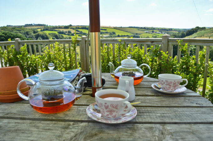 Where to Go for Cream Tea in South Devon: My Top 3