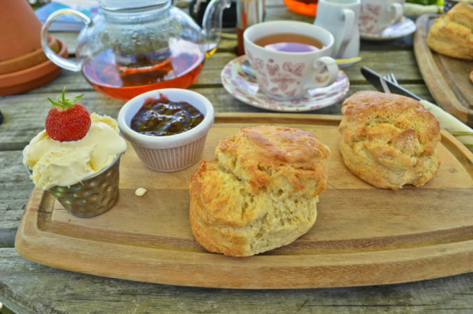 Where to Go for Cream Tea in South Devon: My Top 3