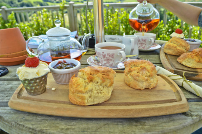 Where to Go for Cream Tea in South Devon: My Top 3