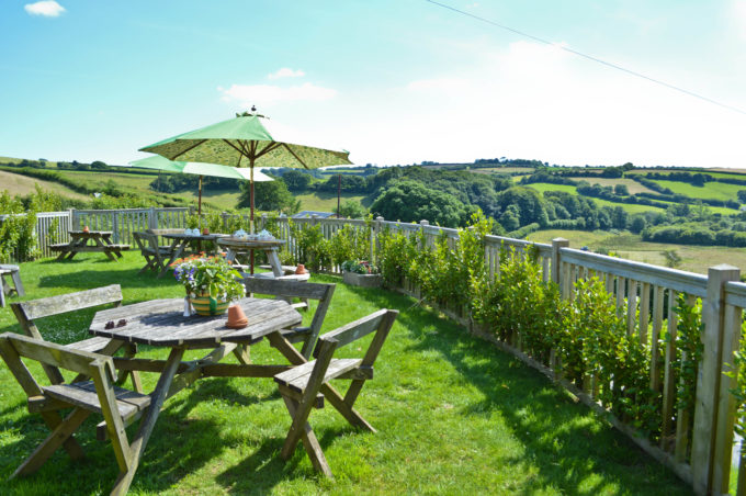 Where to Go for Cream Tea in South Devon: My Top 3