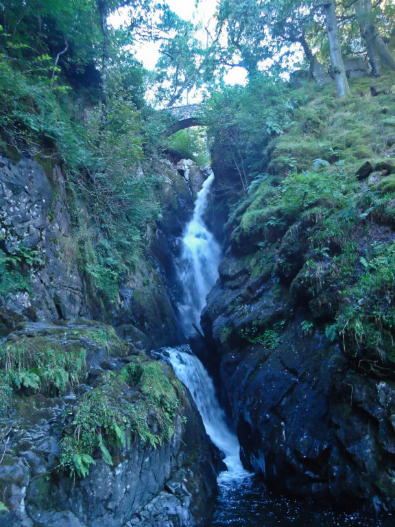 Aira Force