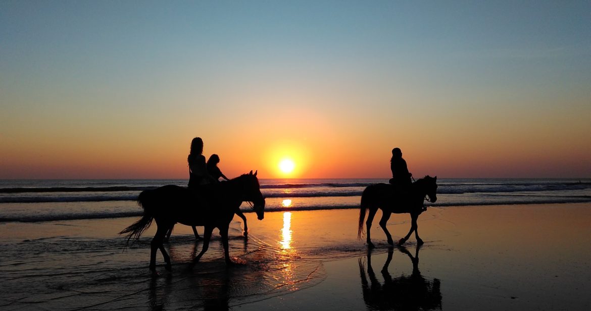 The Best Horse Riding Experiences Around the World