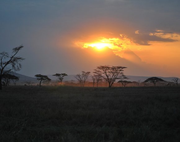 The Perfect East Africa Bucket List