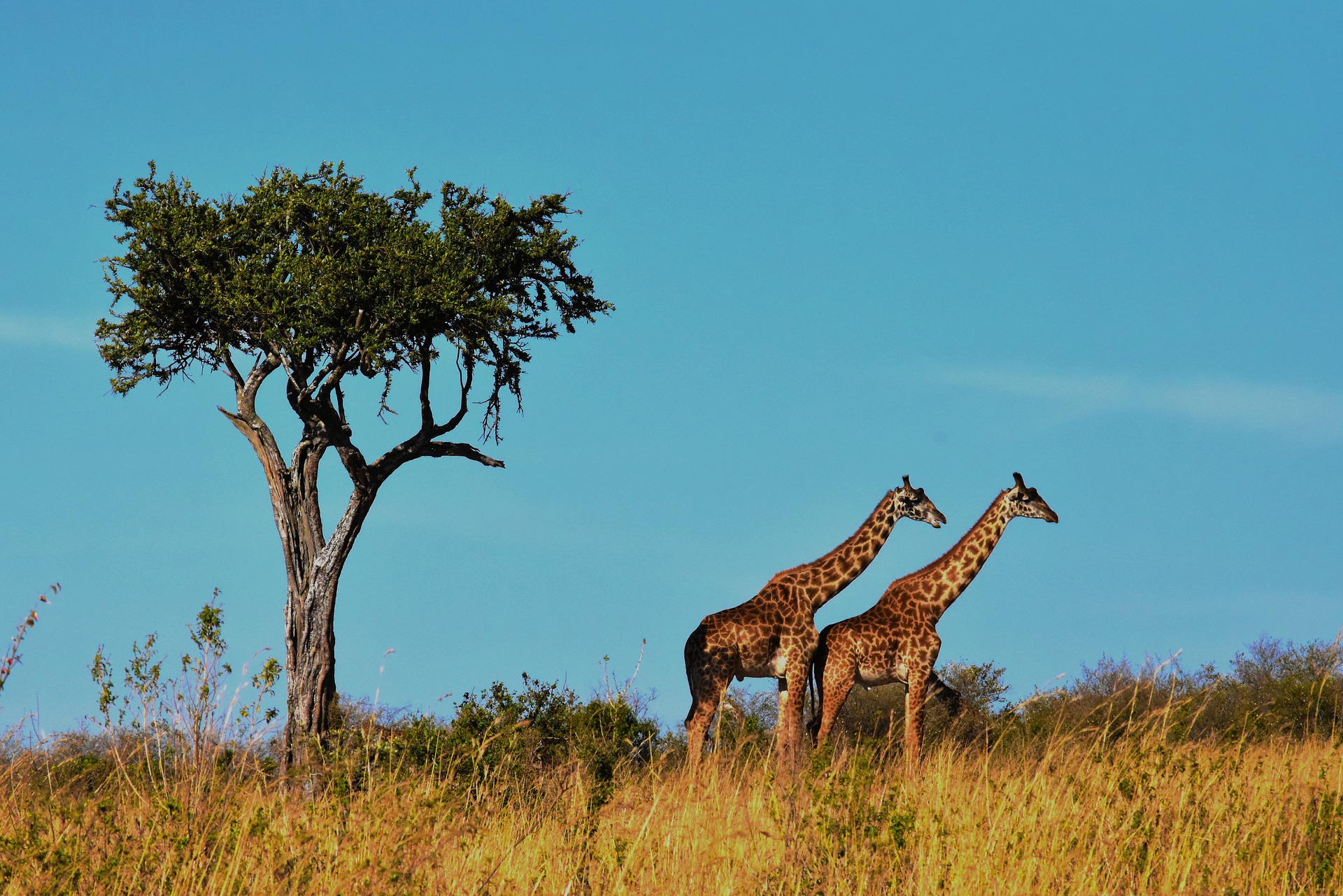 The Perfect East Africa Bucket List