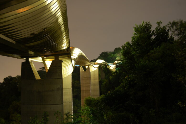 Henderson Waves lit up at night