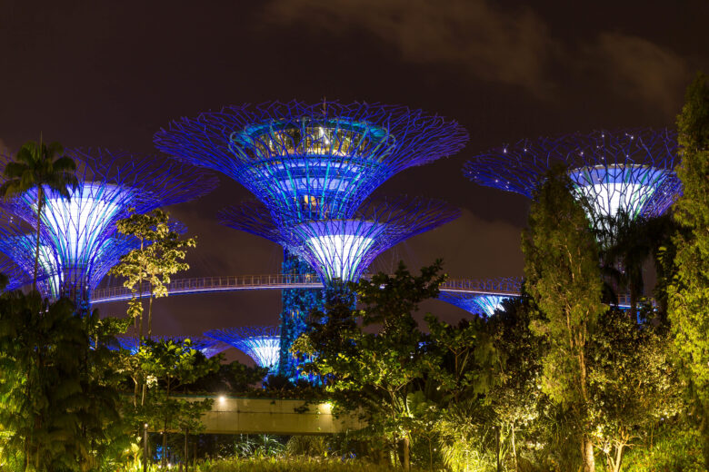 The lit-up 'trees' of The Gardens by the Bay
