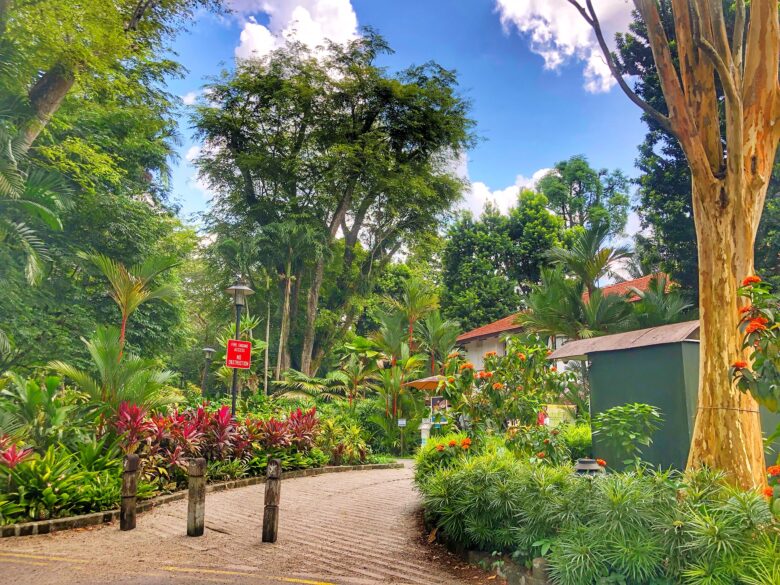 Lush landscaping at the Botanic Gardens in Singapore