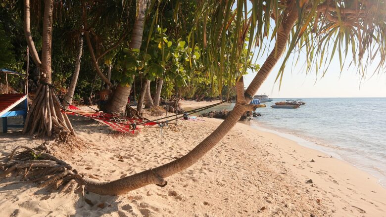 Hammock tied between palm trees