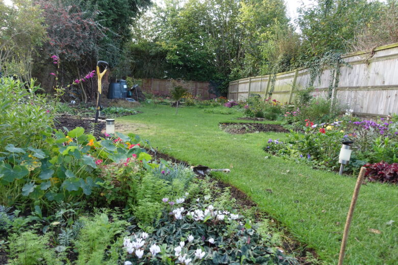 Garden with fence and flowerbeds
