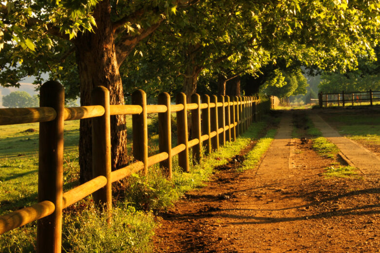 Garden fence at sunset