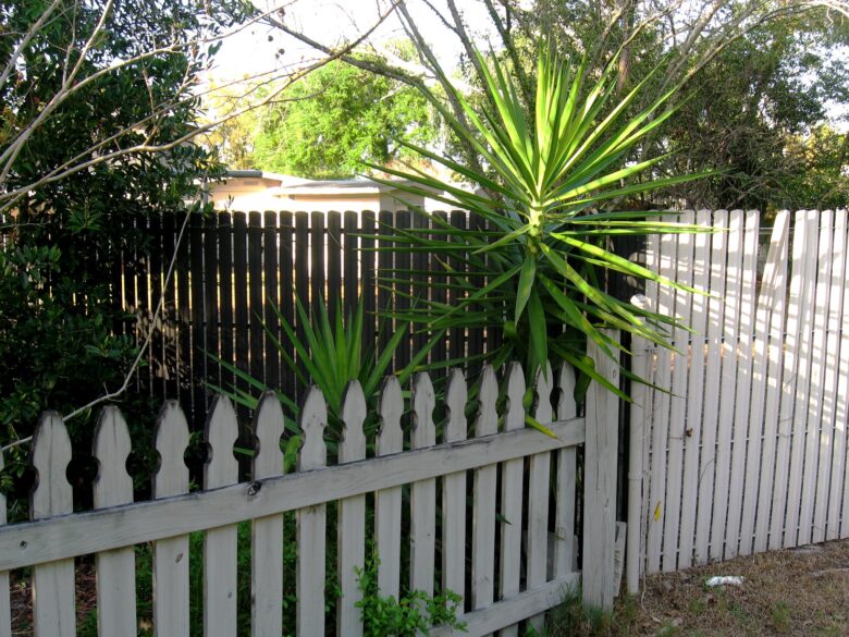 Fence in garden