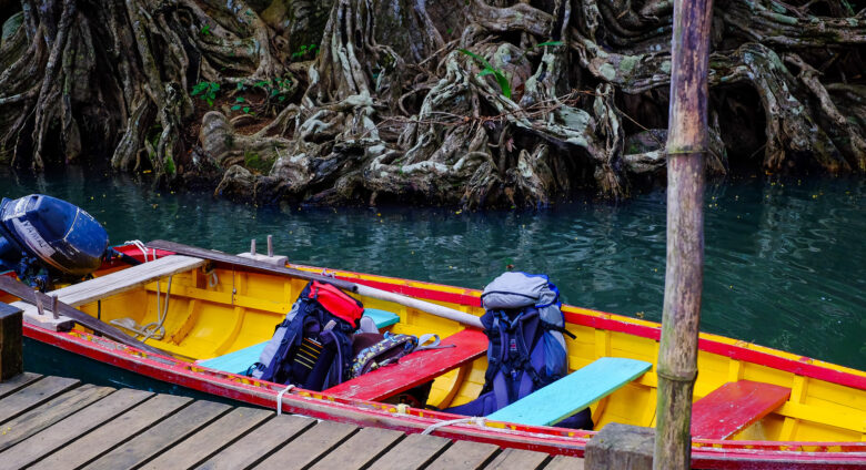 Two backpacks inside a wooden boat