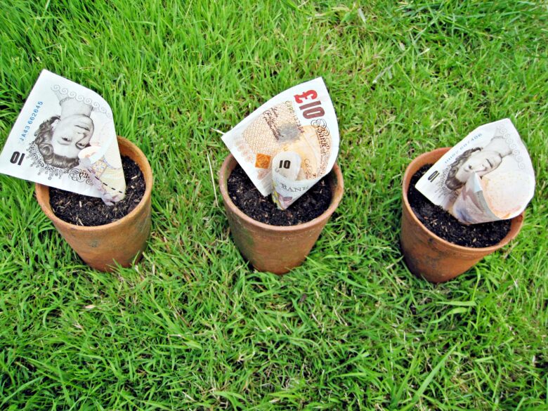 British pounds growing in pots 