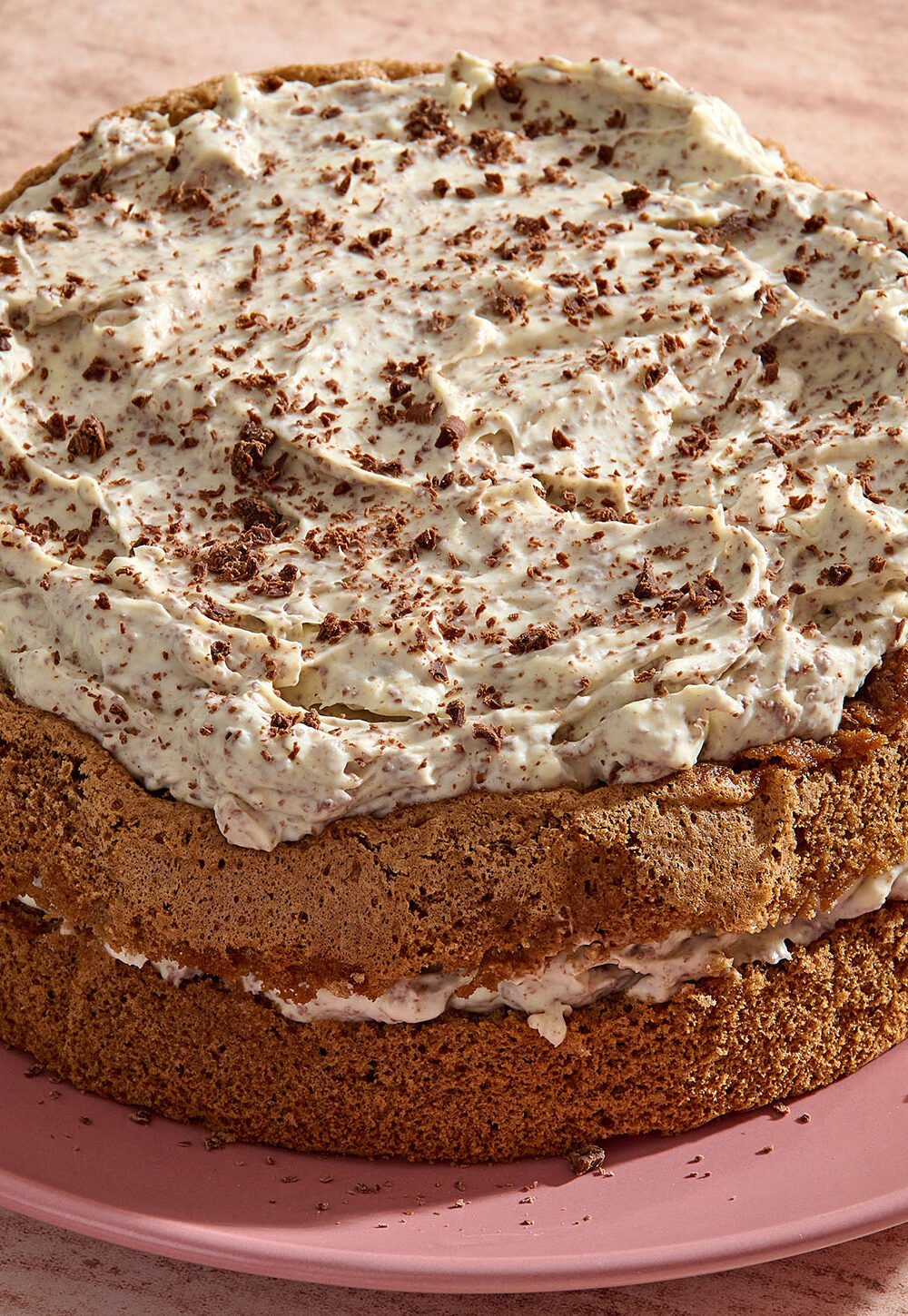 Double layer tiramisu cake on a plate