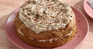Double layer tiramisu cake on a plate