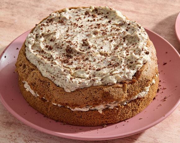 Double layer tiramisu cake on a plate