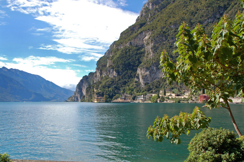 Lake Garda from the shoreline though the trees