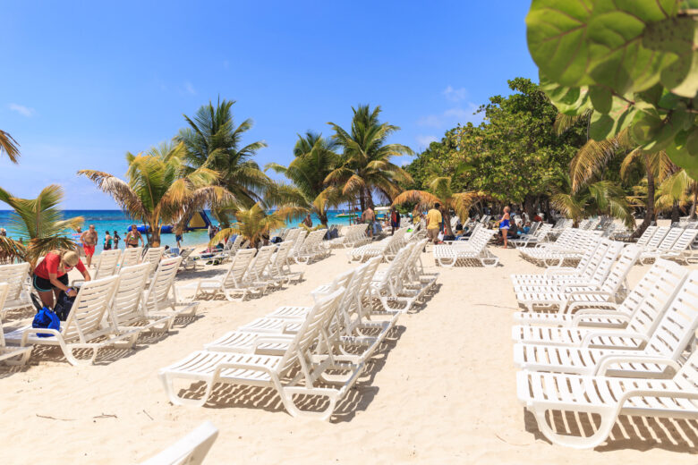 Sunbeds arranged along a white sand beach lined with palm trees